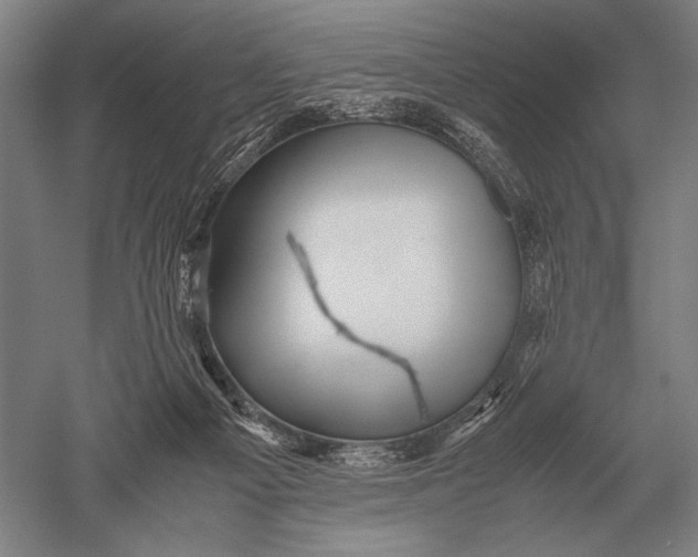 X0000051250121200507082200