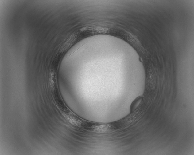 X0000051250122200507082200