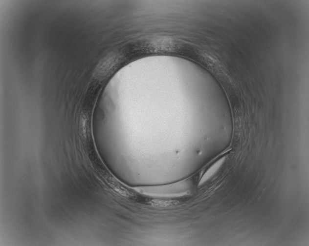 X0000051250123200507082200