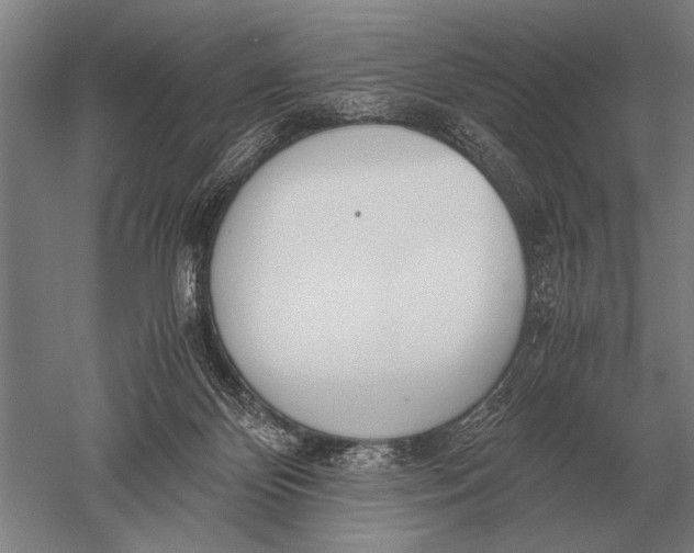 X0000051250124200507082200