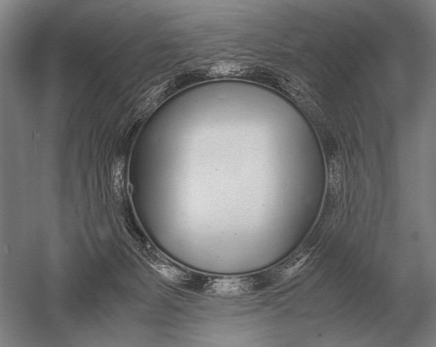 X0000051250127200507082200