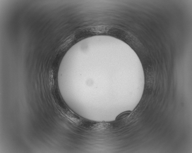 X0000051250128200507082200