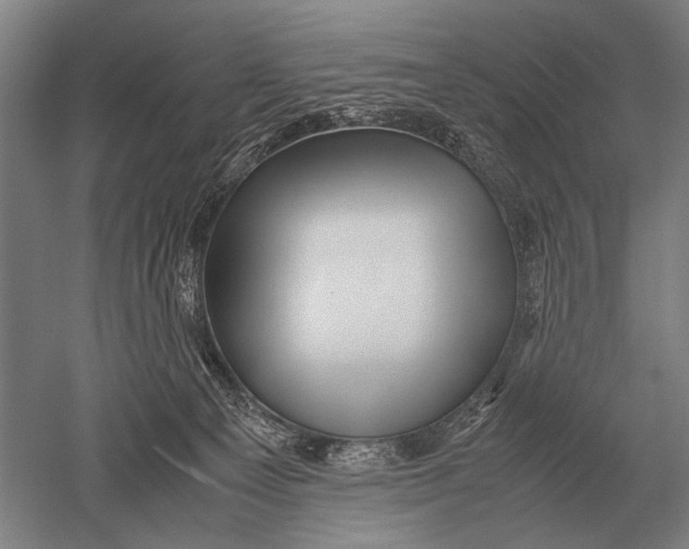 X0000051250129200507082200