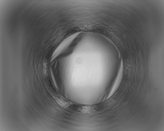 X0000051250130200507082200