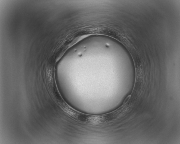 X0000051250131200507082200