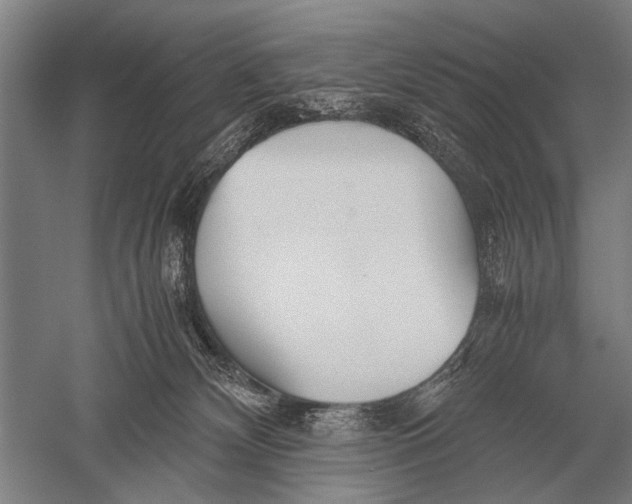 X0000051250132200507082200