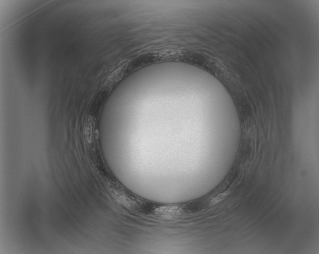 X0000051250133200507082200