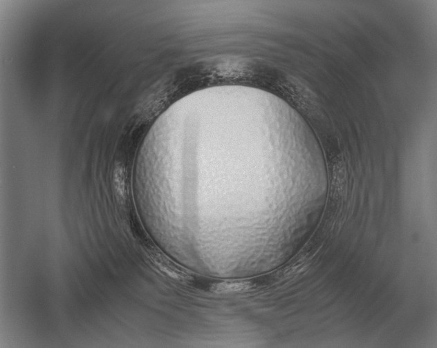 X0000051250135200507082200