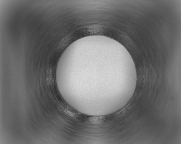 X0000051250136200507082200