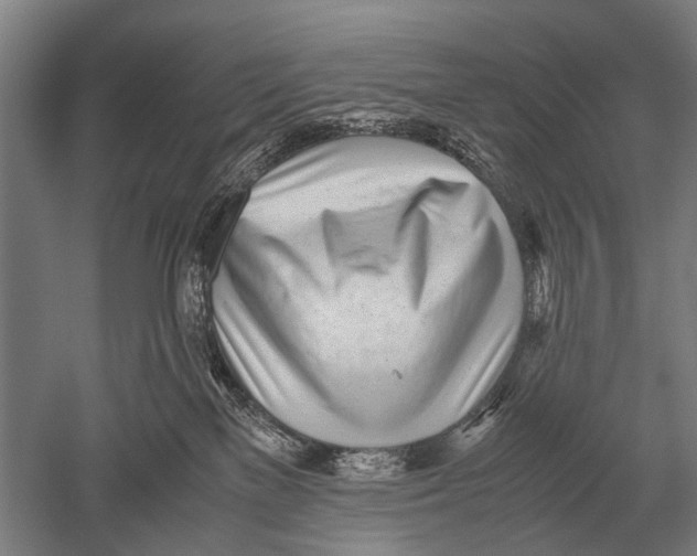 X0000051250137200507082200