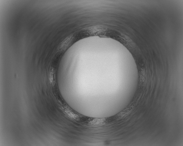 X0000051250138200507082200