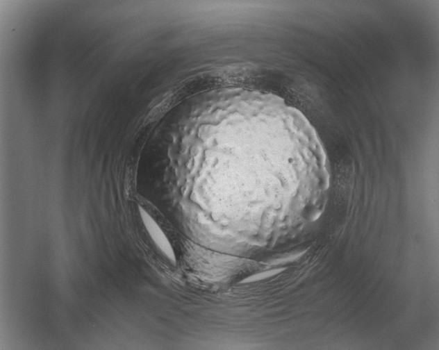 X0000051250139200507082200