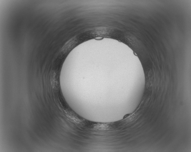 X0000051250140200507082200