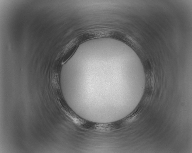 X0000051250141200507082200