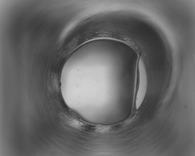 X0000051250143200507082200