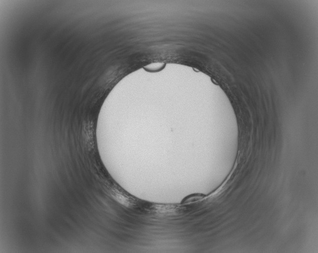 X0000051250144200507082200