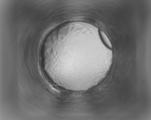 X0000051250145200507082159