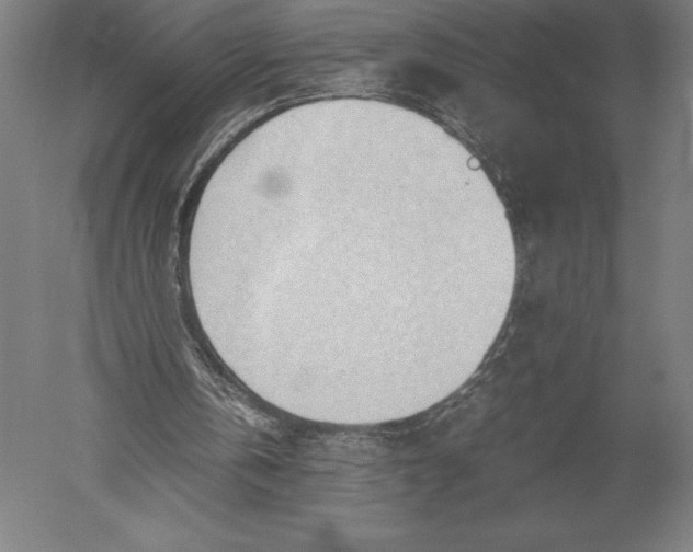 X0000051250146200507082159