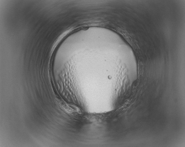 X0000051250147200507082159