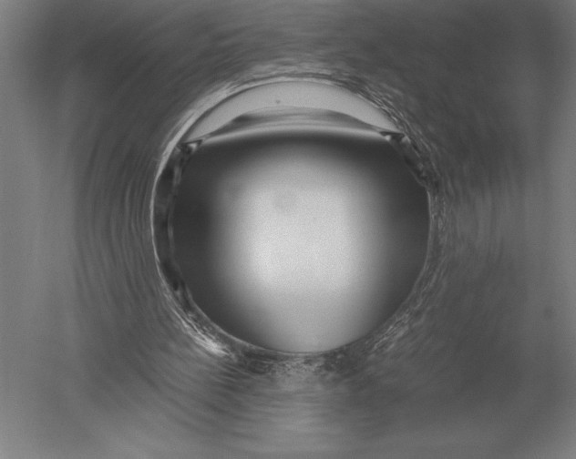 X0000051250148200507082159