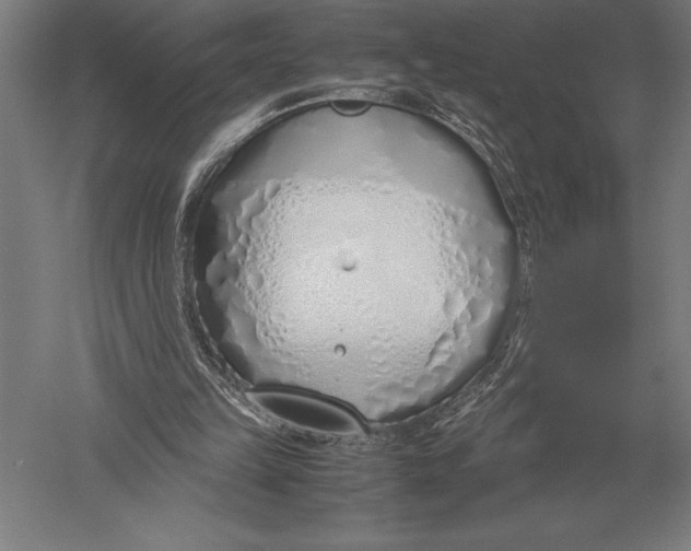 X0000051250149200507082159