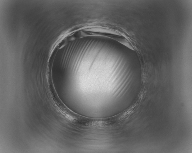 X0000051250152200507082159