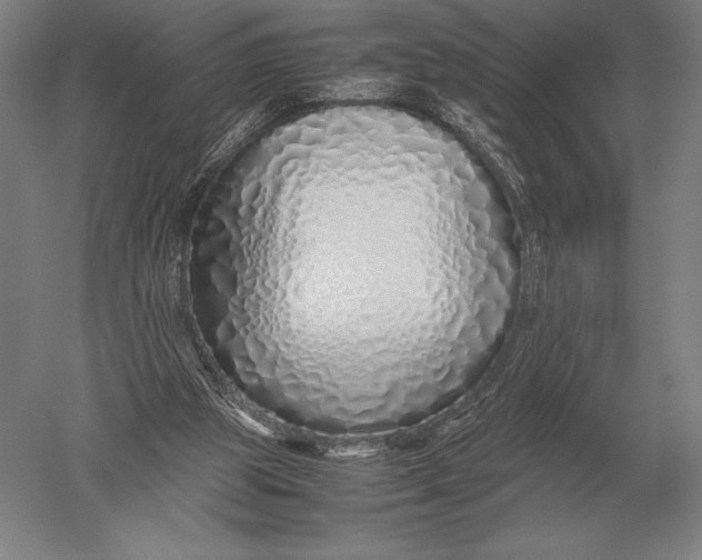 X0000051250153200507082159