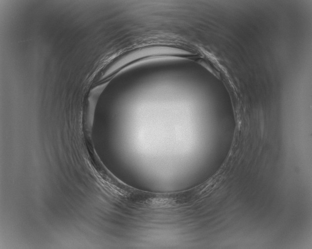 X0000051250154200507082159