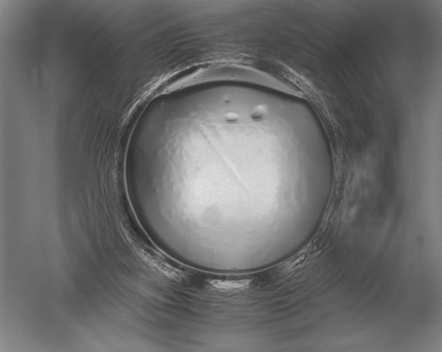 X0000051250155200507082159