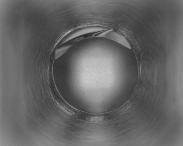 X0000051250156200507082159