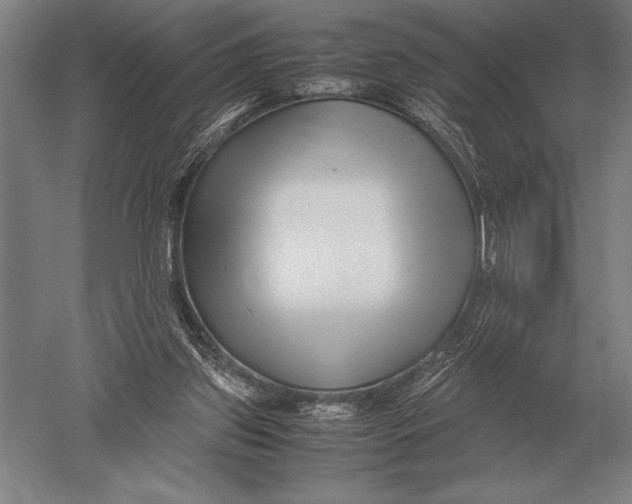 X0000051250157200507082159