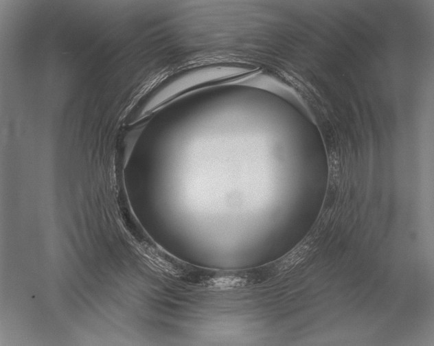 X0000051250158200507082159