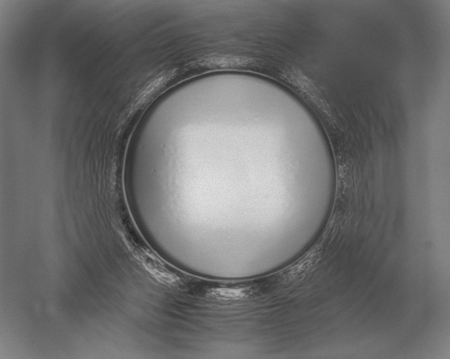 X0000051250159200507082159