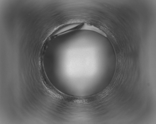 X0000051250160200507082159