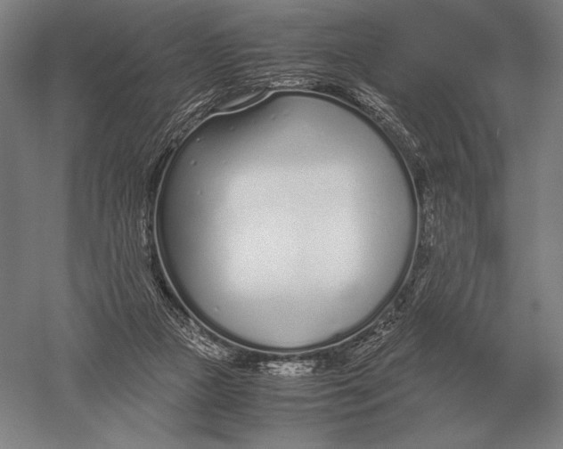 X0000051250161200507082159