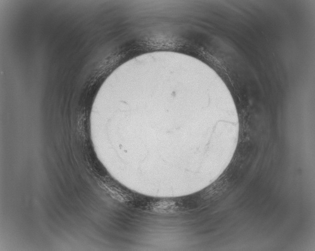 X0000051250162200507082159