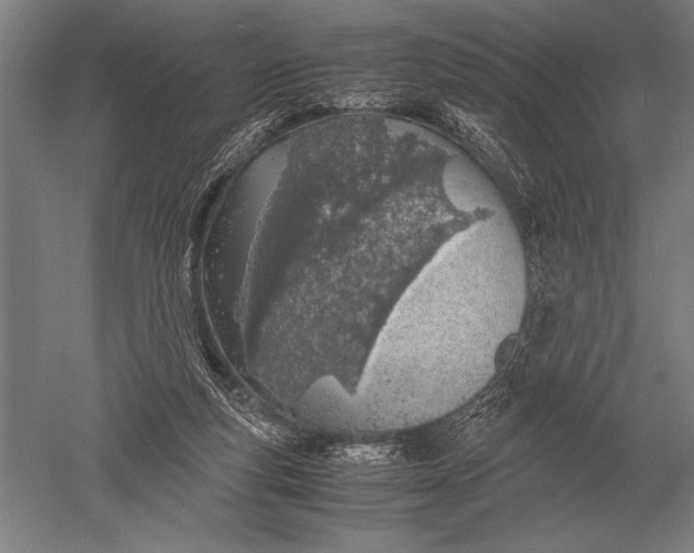 X0000051250163200507082159