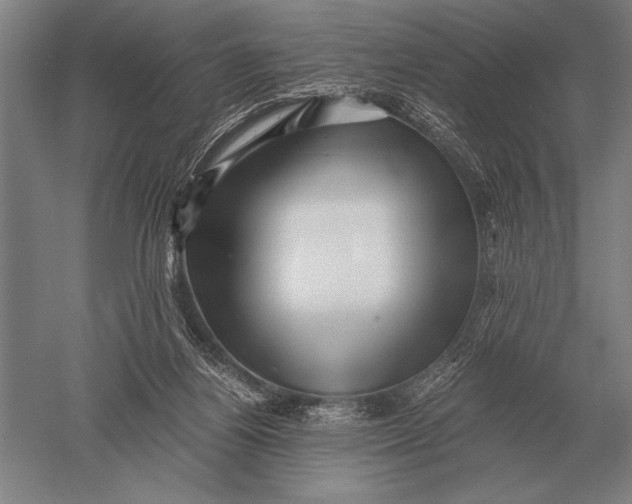 X0000051250164200507082159