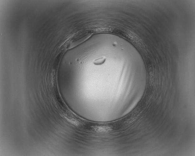 X0000051250165200507082159