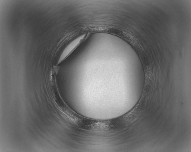 X0000051250166200507082159