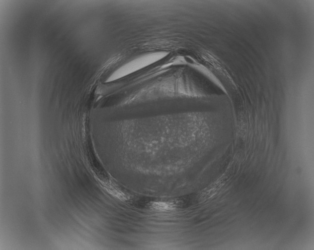 X0000051250167200507082159