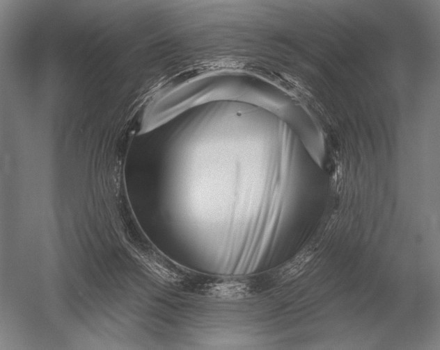 X0000051250168200507082159