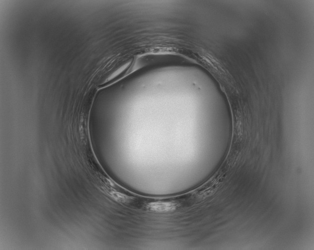 X0000051250169200507082159