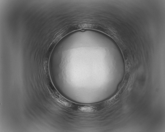 X0000051250171200507082159