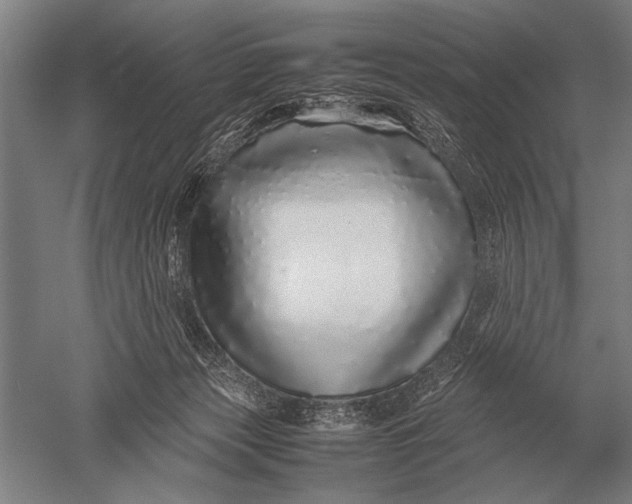 X0000051250173200507082159