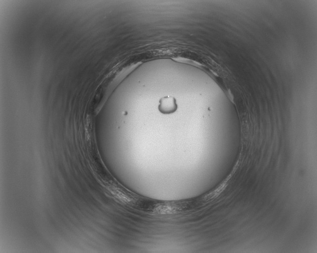 X0000051250174200507082159