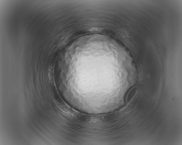 X0000051250175200507082159