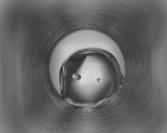 X0000051250176200507082159