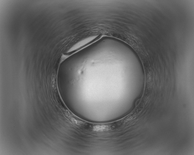 X0000051250177200507082200