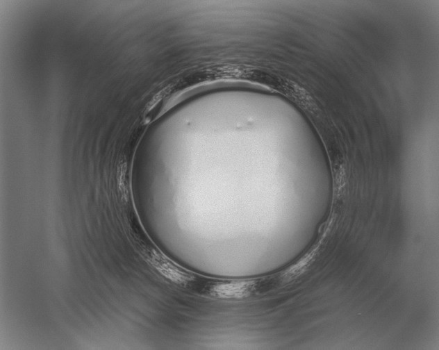 X0000051250178200507082200